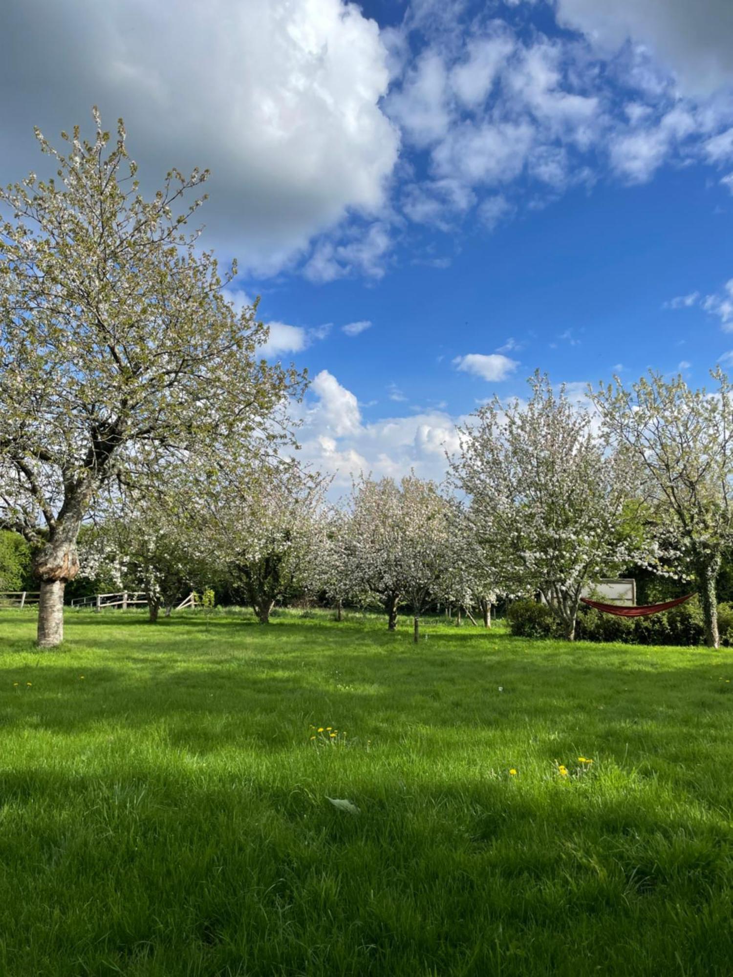 Gite A La Campagne Le Mesnil-Villeman ภายนอก รูปภาพ
